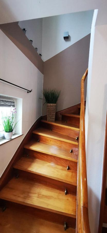 Ferienwohnung Palmenwald Freudenstadt Bagian luar foto